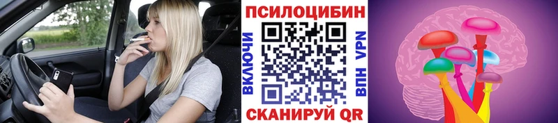 Купить где  Моршанск  Псилоцибиновые грибы Magic Shrooms 